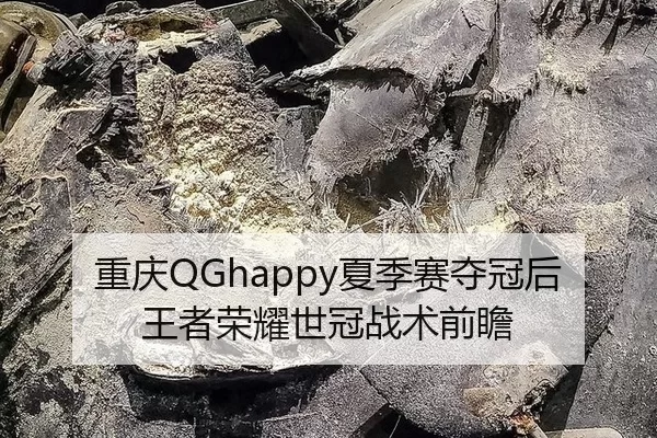 重庆QGhappy夏季赛夺冠后王者荣耀世冠战术前瞻